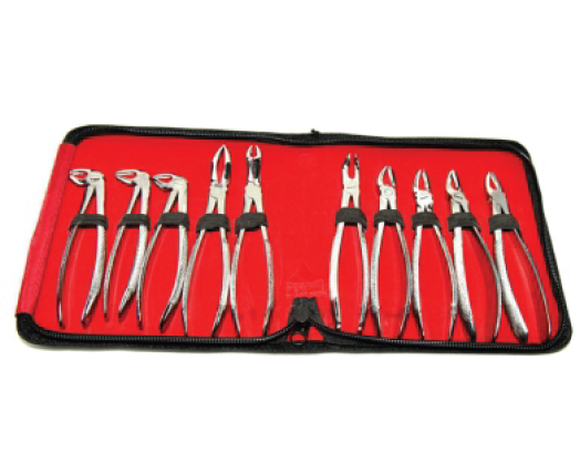 Dental Set of Tooth Extracting Forceps