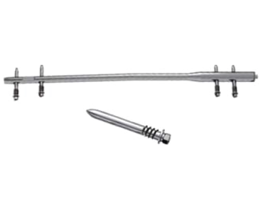 Trauma_Interlocking Nail Systems Femoral Interlocking Nail