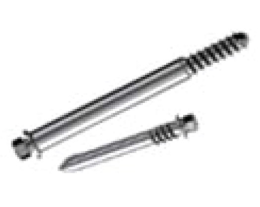 Trauma_Interlocking Nail Systems Matching Lag Screw