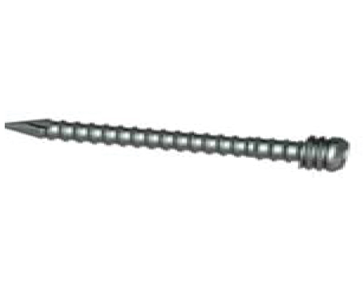 Trauma_Interlocking Nail Systems PFNA Locking Bolt